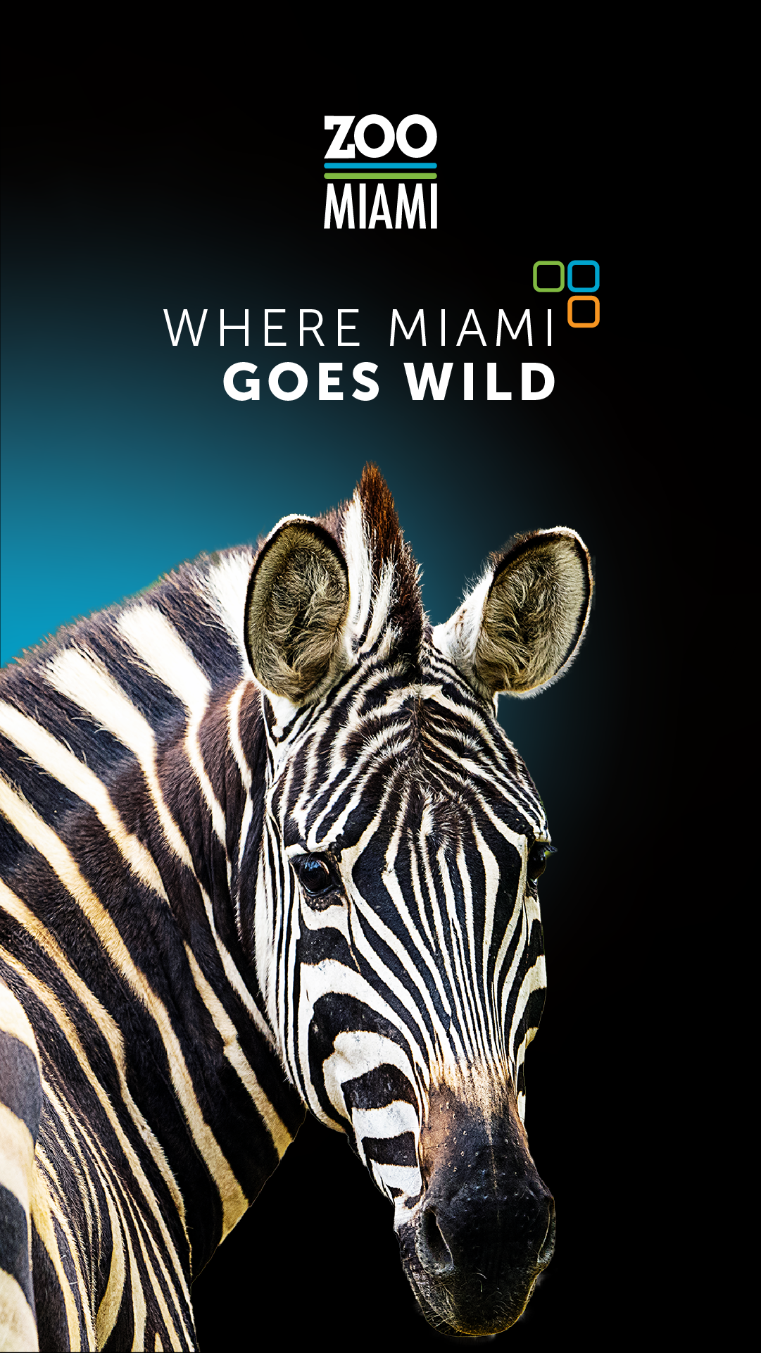 Zoo Miami Facebook ad from Jul 30, 2026