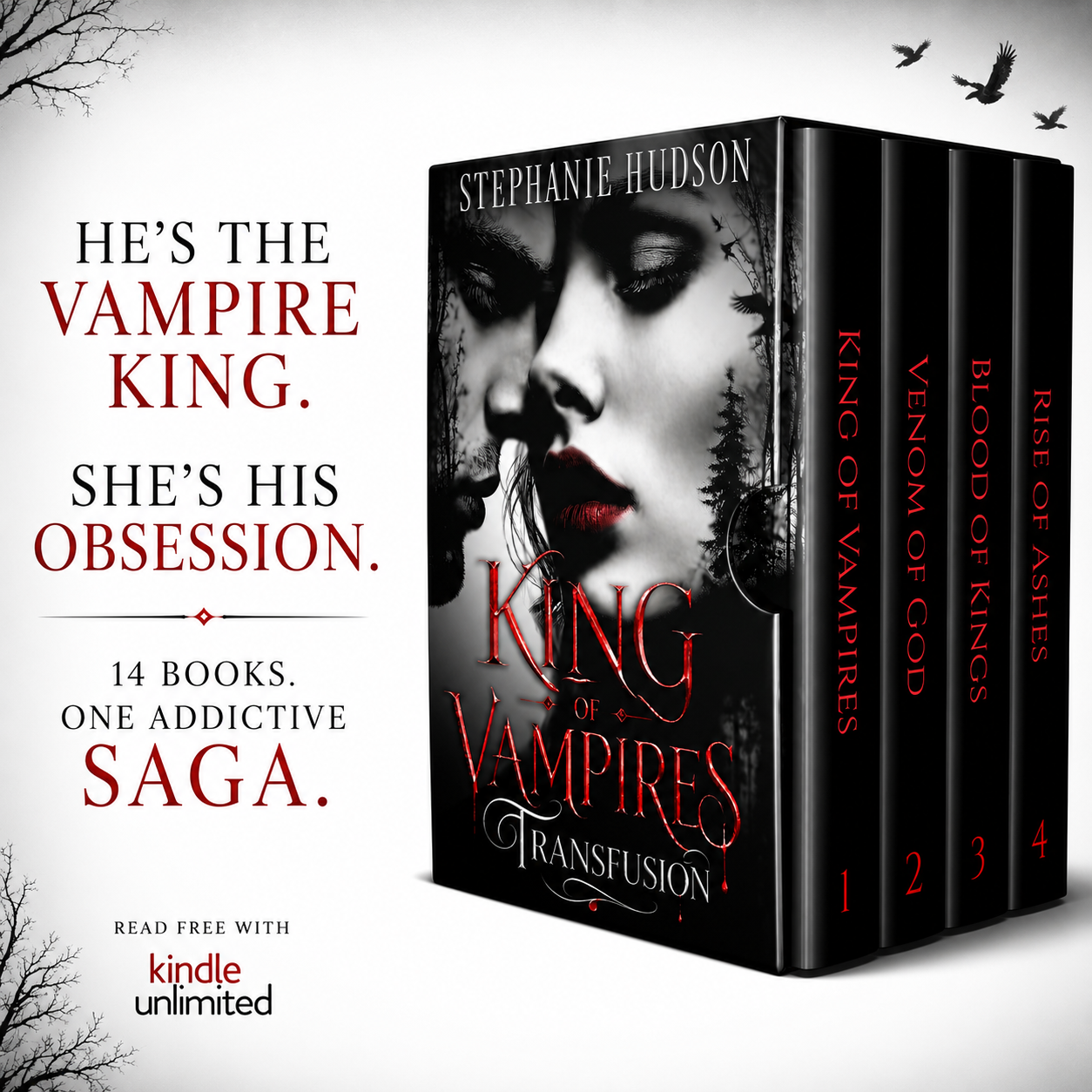 Stephanie Hudson Author Facebook ad