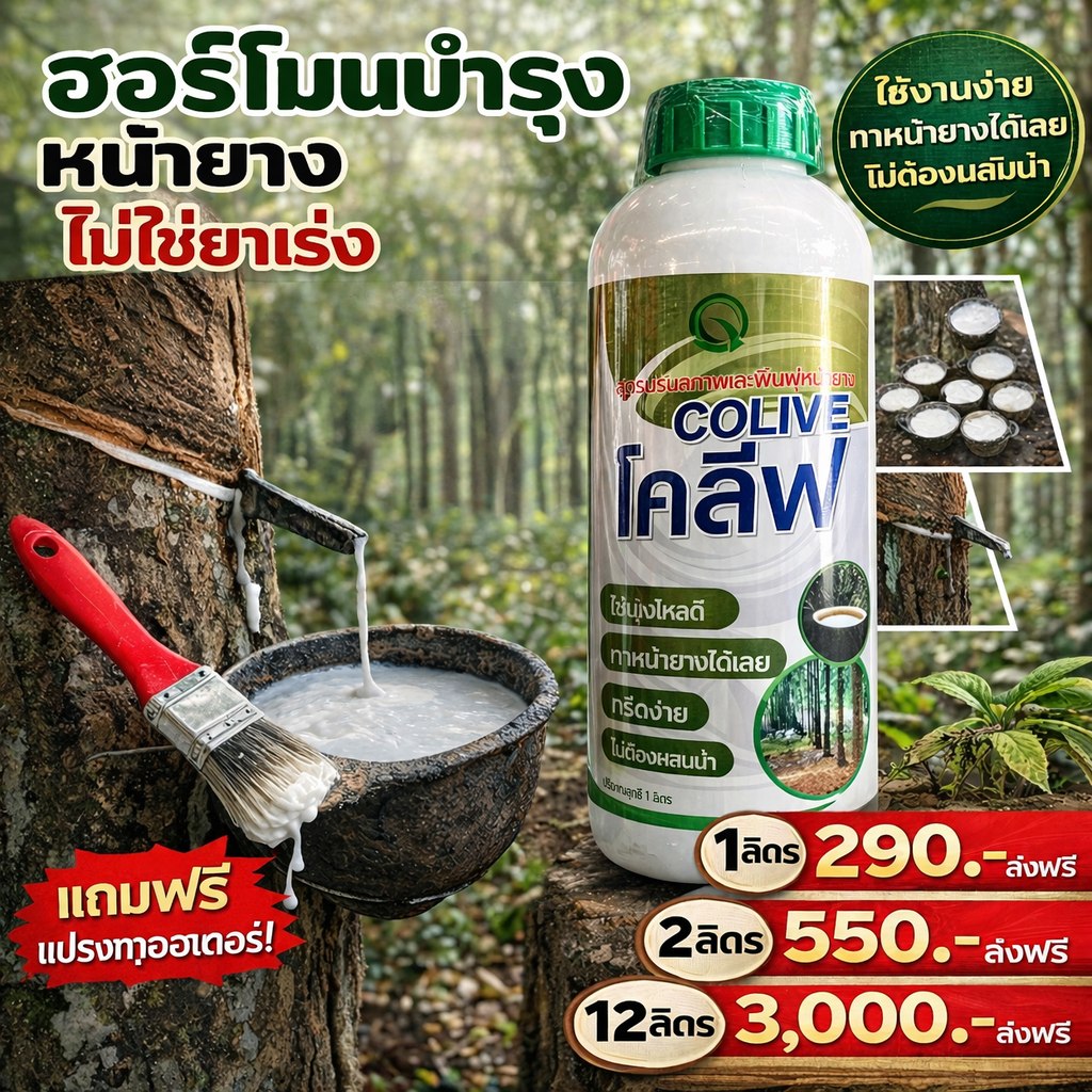 เก่ง การเกษตร 1990 Facebook ad: เพิ่มผลผลิตในสวนยางพาราง่ายๆ ด้วย COLIVE โคสิฟ