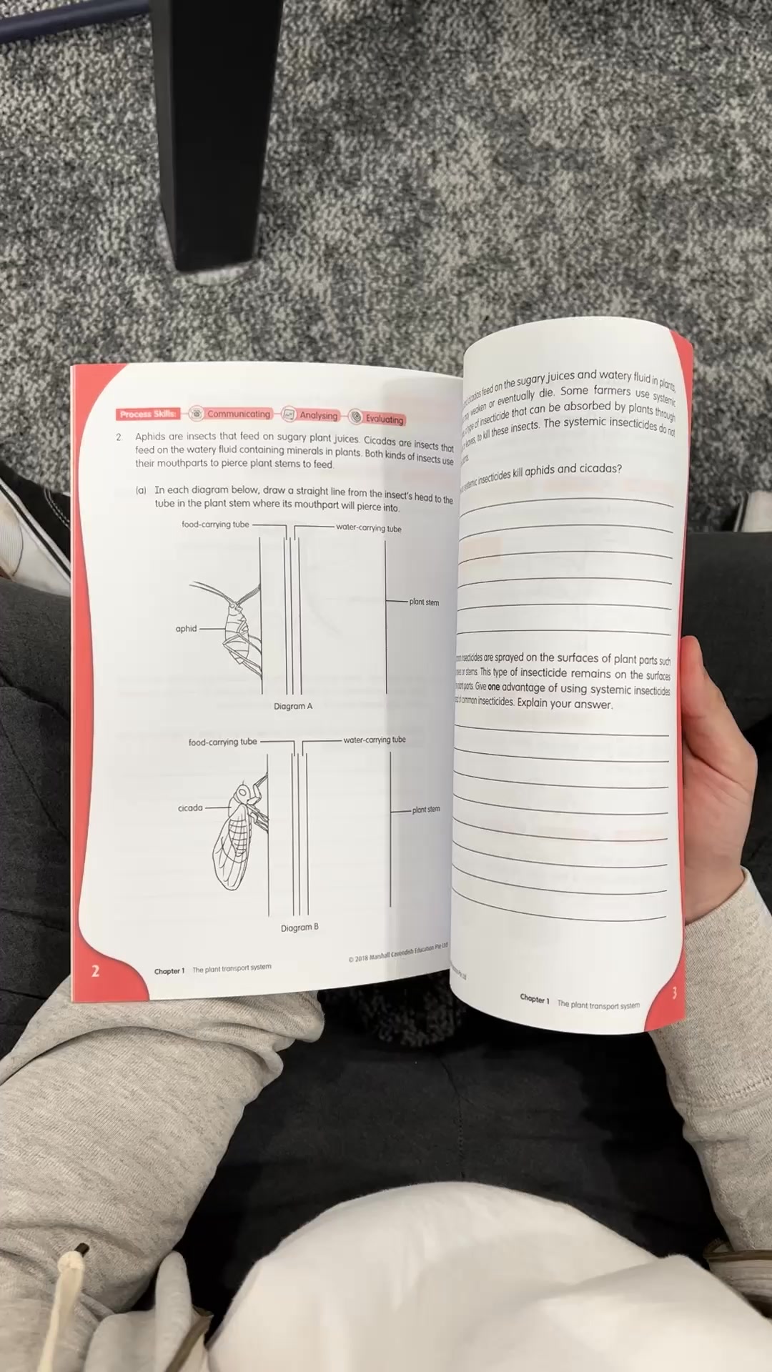 KooBits Facebook ad: Try KooBits Science for Free Today and get 25% OFF