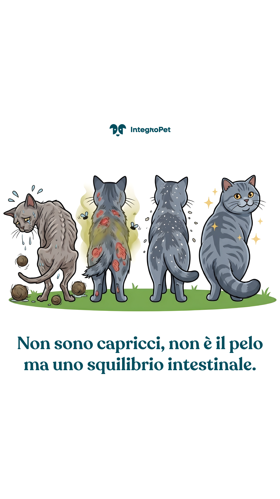 Integropet Italia Facebook ad from Apr 17, 2026