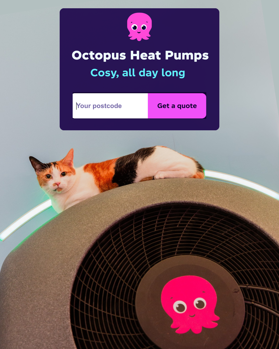 Octopus Energy Facebook ad