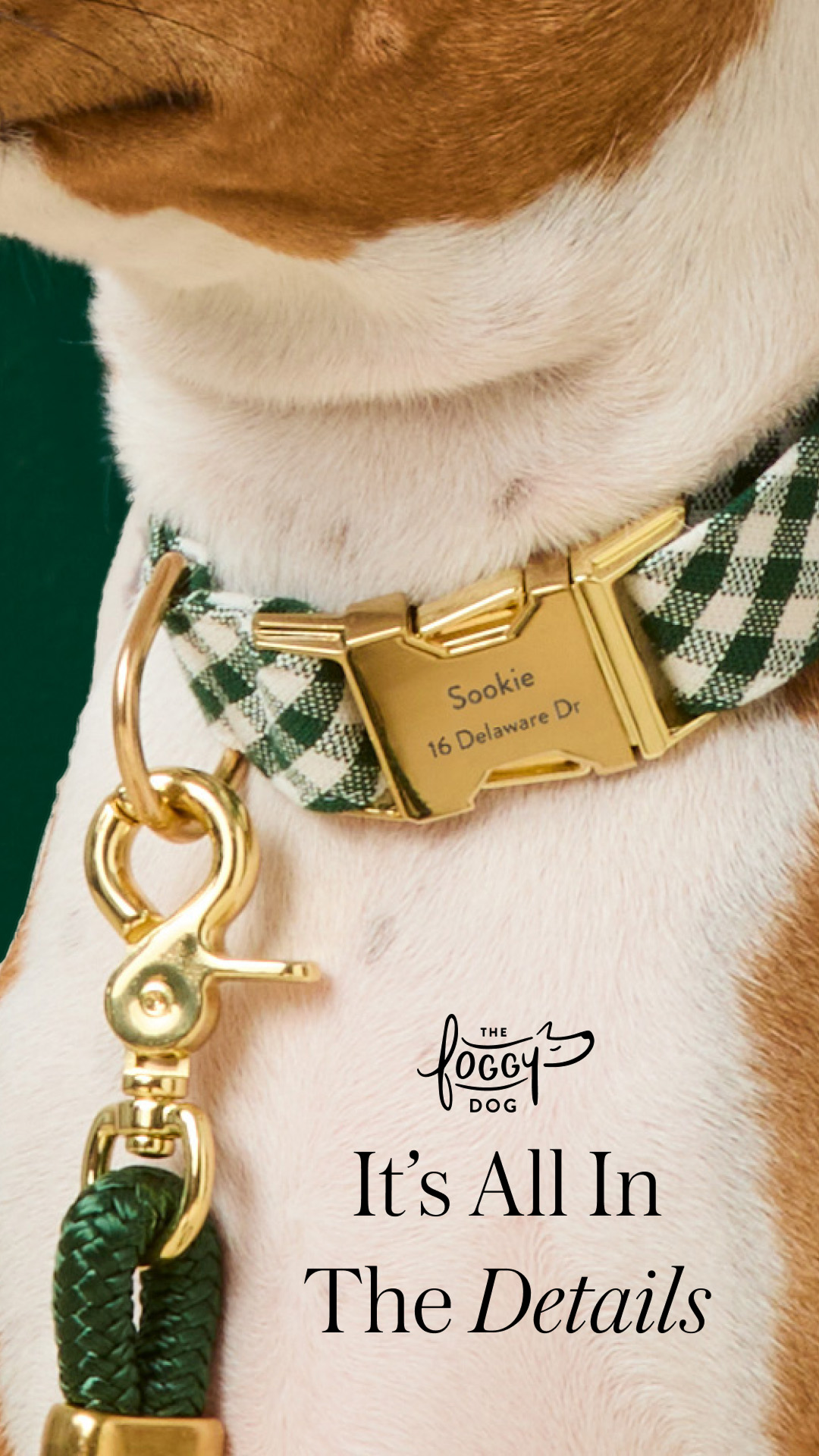 The Foggy Dog Facebook ad