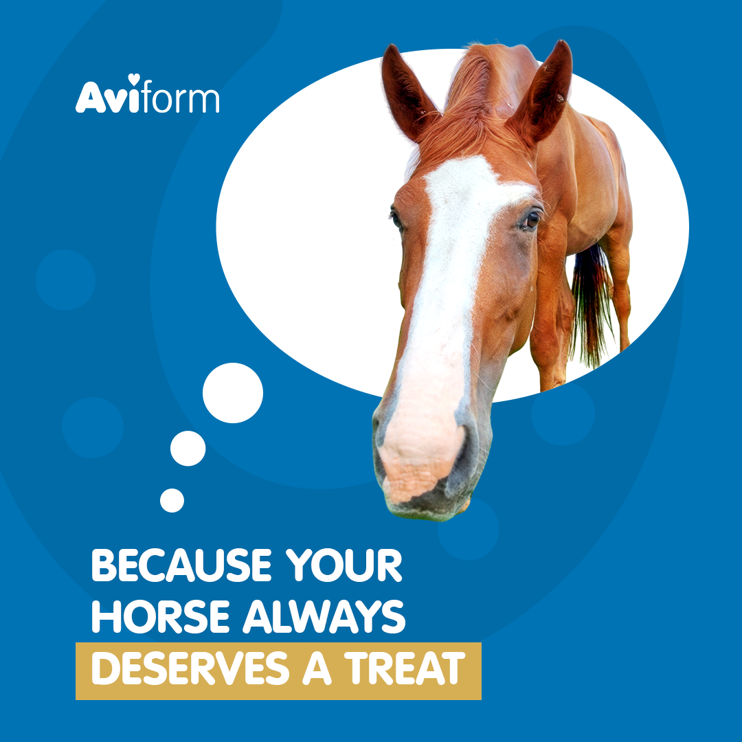 Aviform Nutrition UK - Horse & Dog Facebook ad