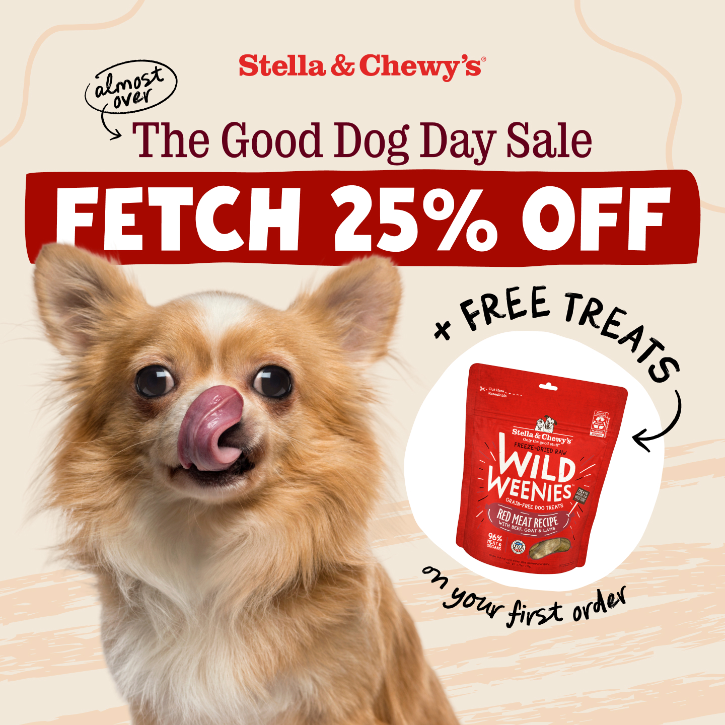 Stella & Chewy's Facebook ad: Shop the Good Dog Day Sale Before It’s Too Late