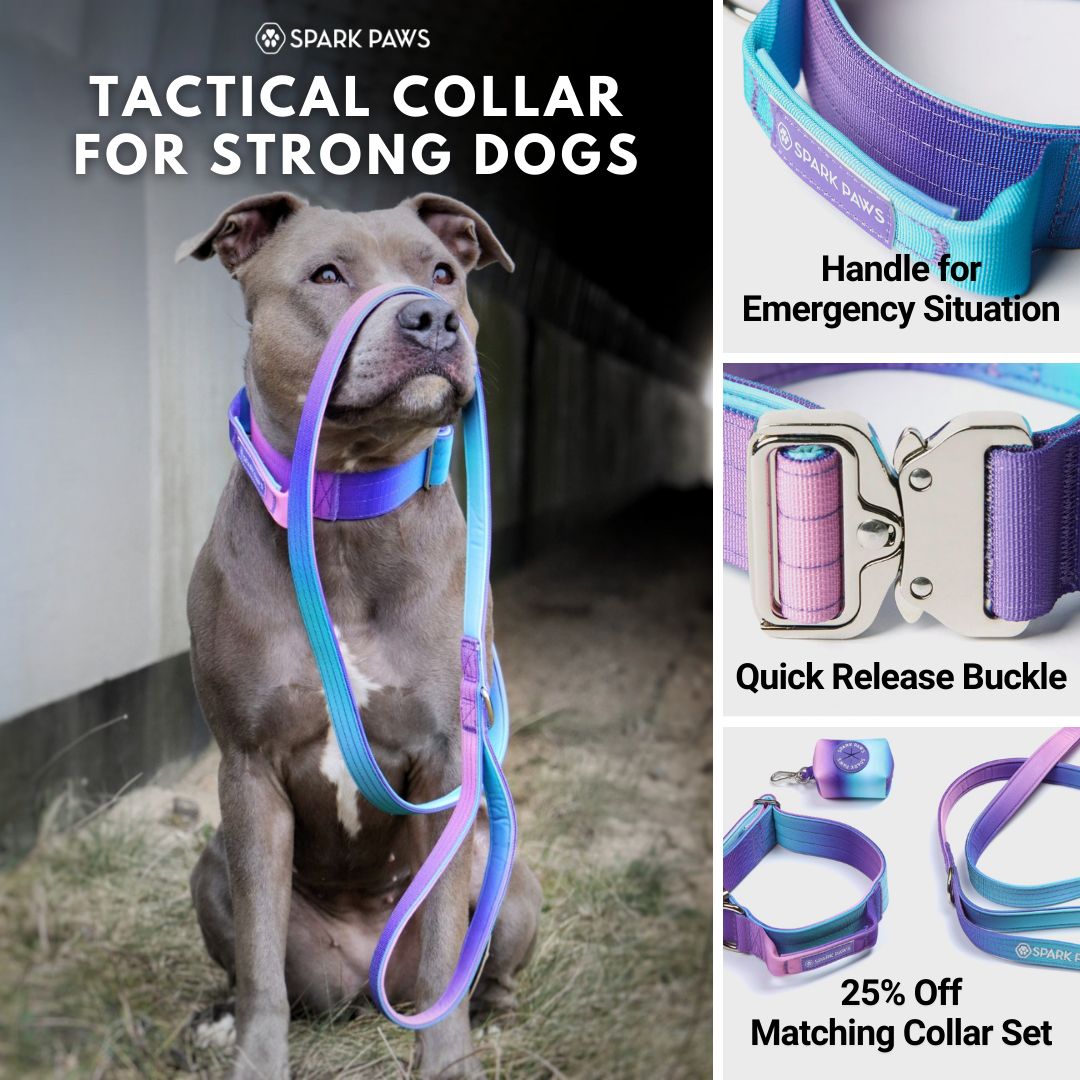 Spark Paws Facebook ad