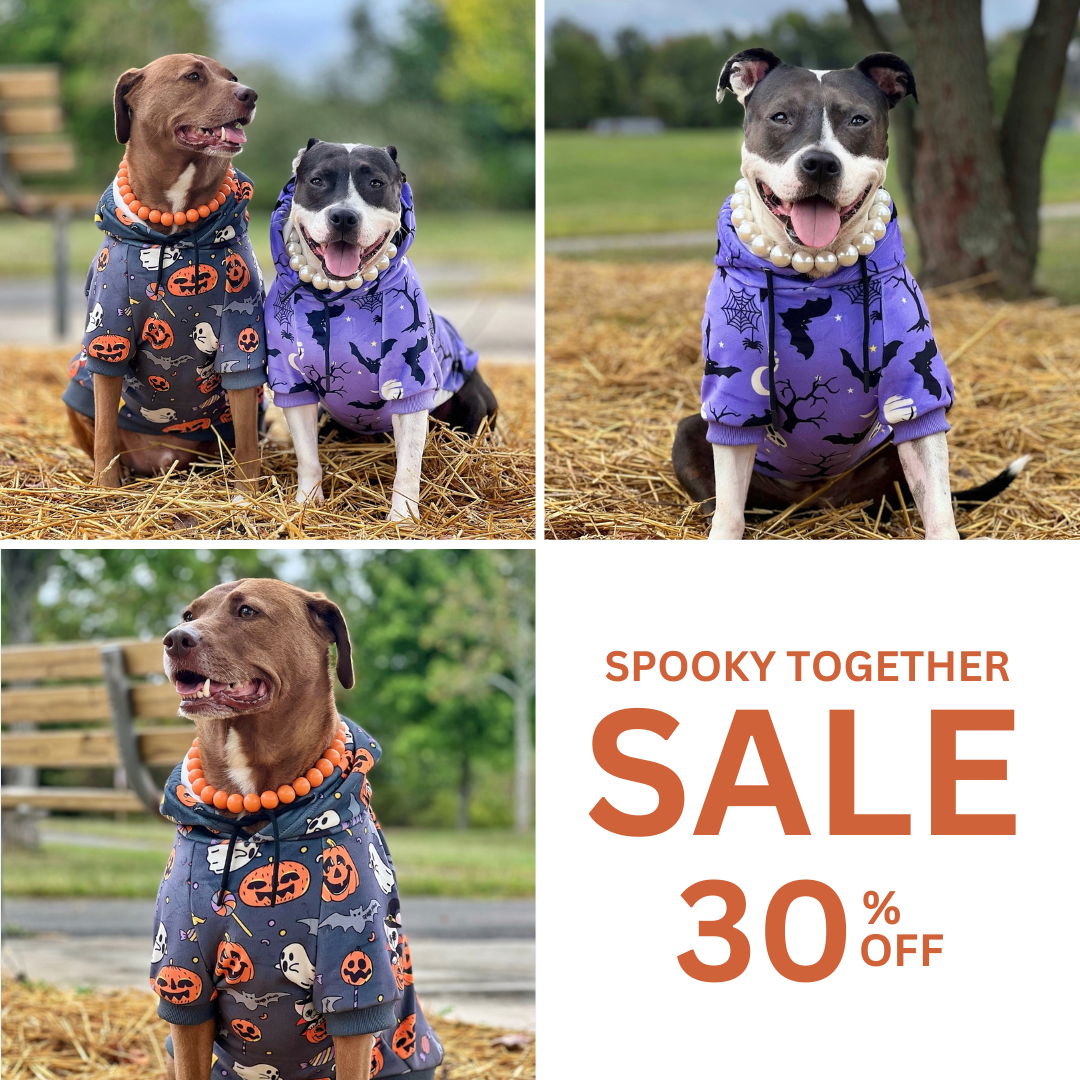 Spark Paws Facebook ad