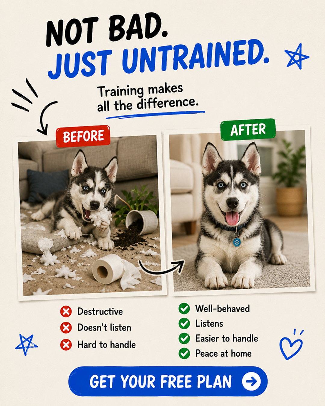 Ben Your Puppy Trainer Facebook ad