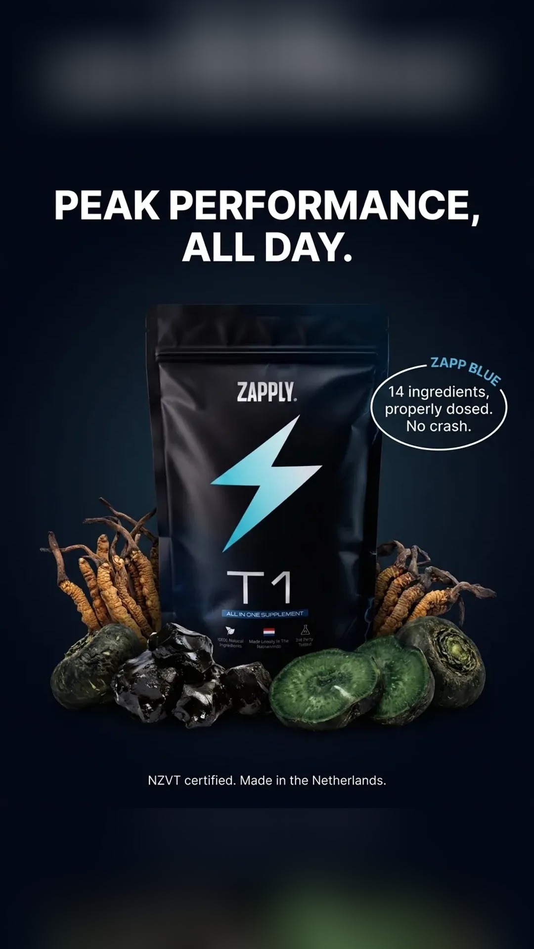 Zapply EU Facebook ad