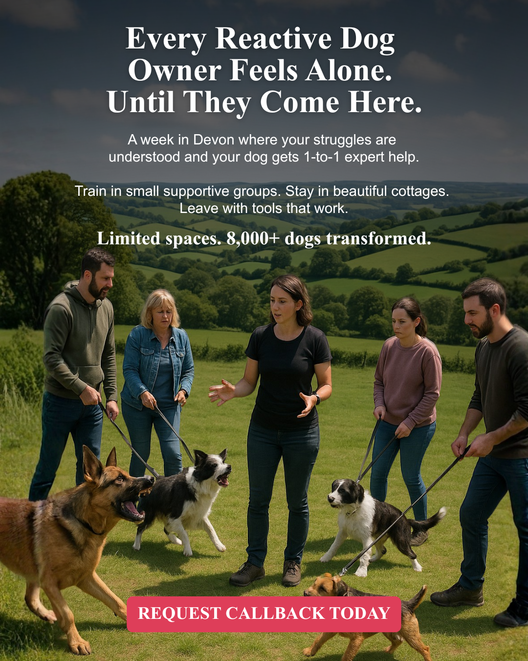 absoluteDOGS Facebook ad