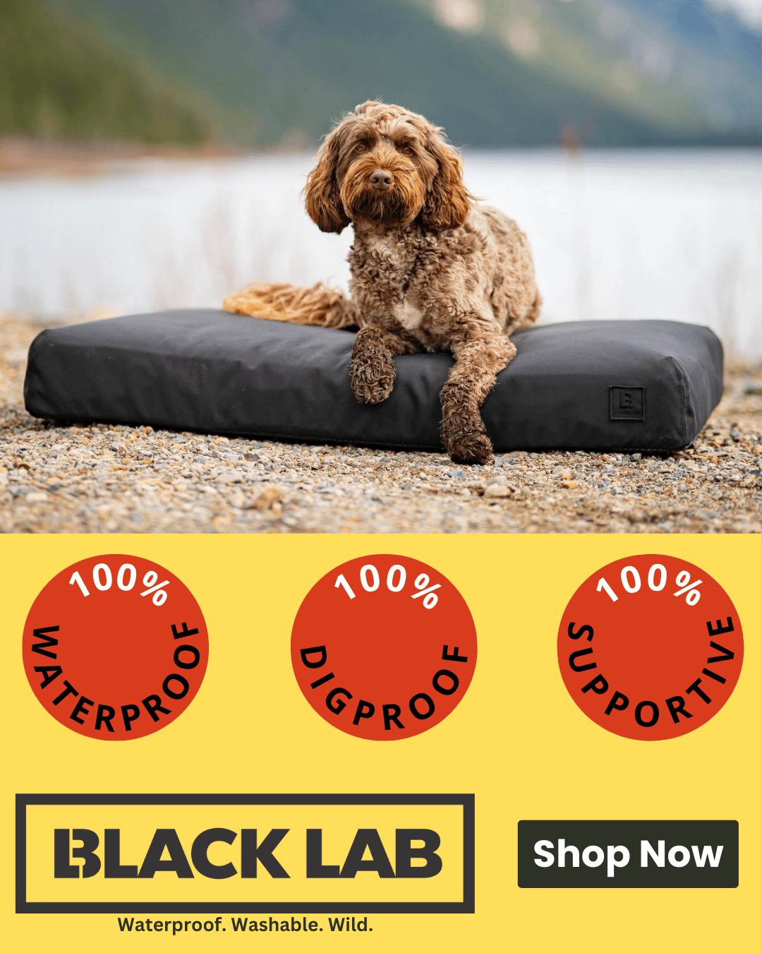 Black Lab Brands Facebook ad