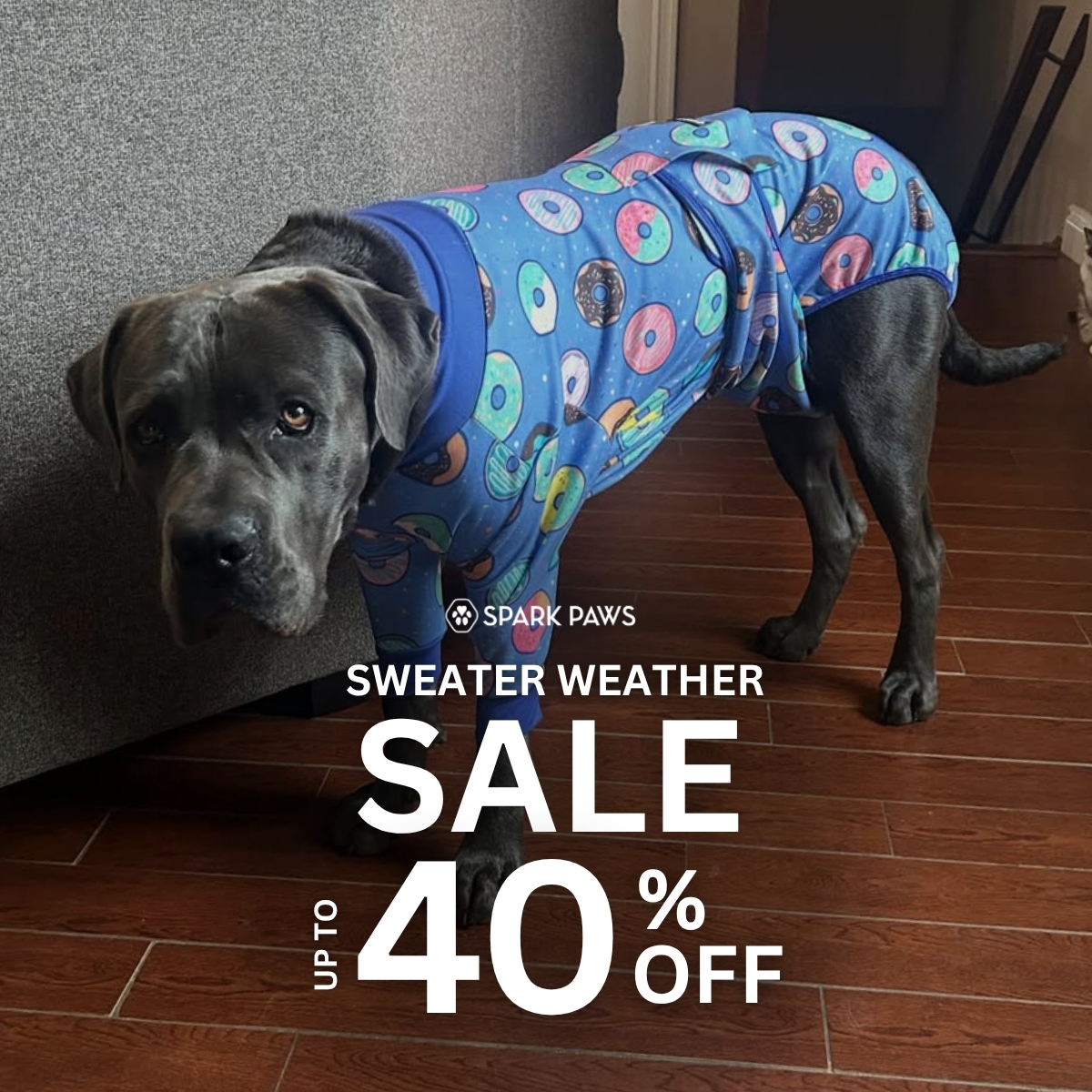 Spark Paws Facebook ad