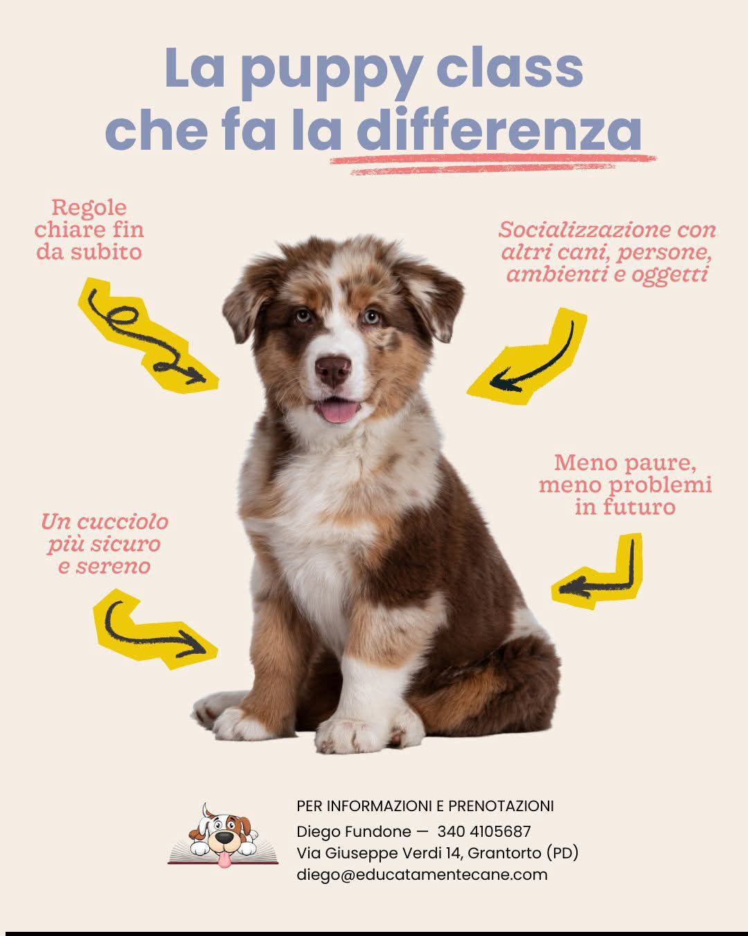 Centro Cinofilo Educatamentecane Facebook ad: Il tuo cucciolo sta crescendo in fretta… e…