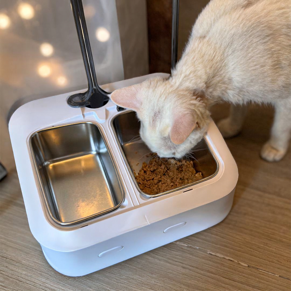 Shenzhen Duodpet Intelligent Technology Co., Ltd. Facebook ad: Looking for reliable smart pet care products for…