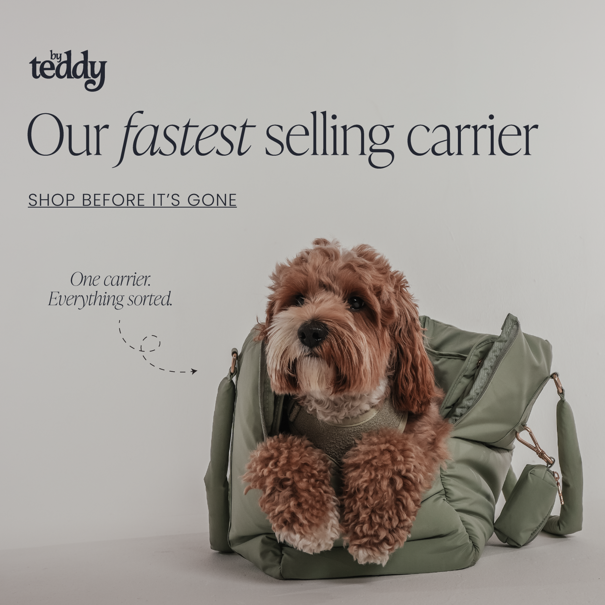 By Teddy Facebook ad