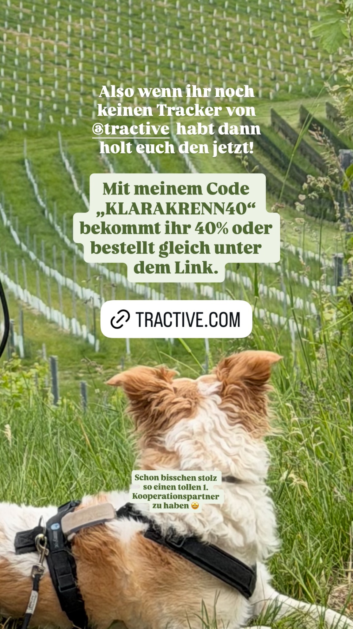 klarakrenn.hundetraining Facebook ad