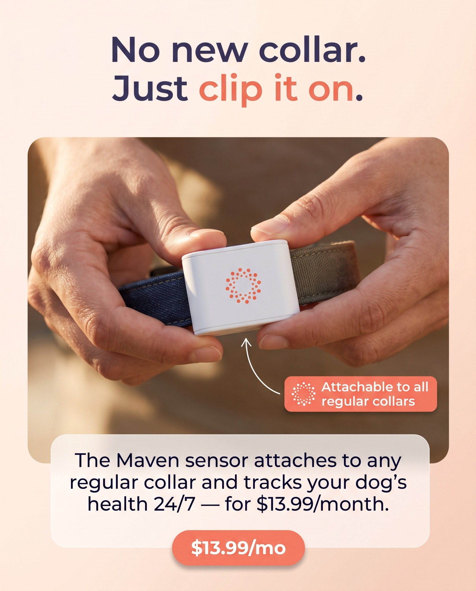 Maven Pet Facebook ad