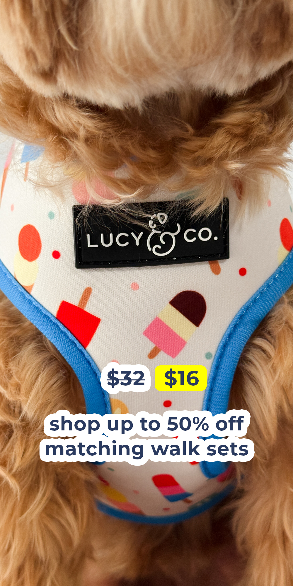 Lucy & Co. Facebook ad