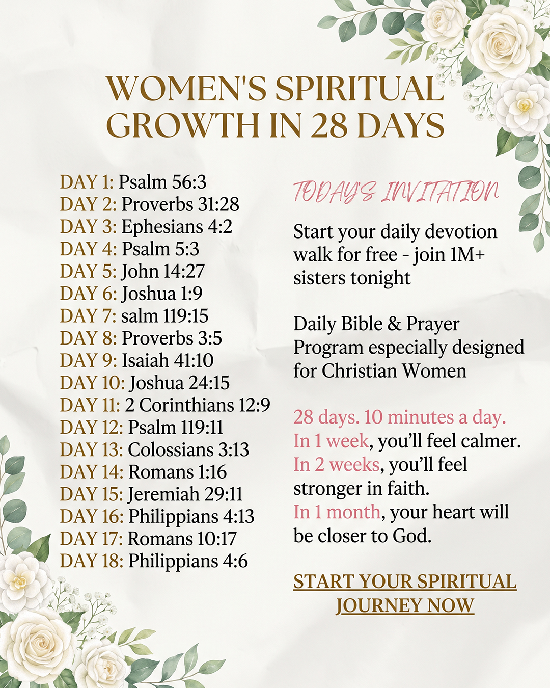 Bible for Women Facebook ad