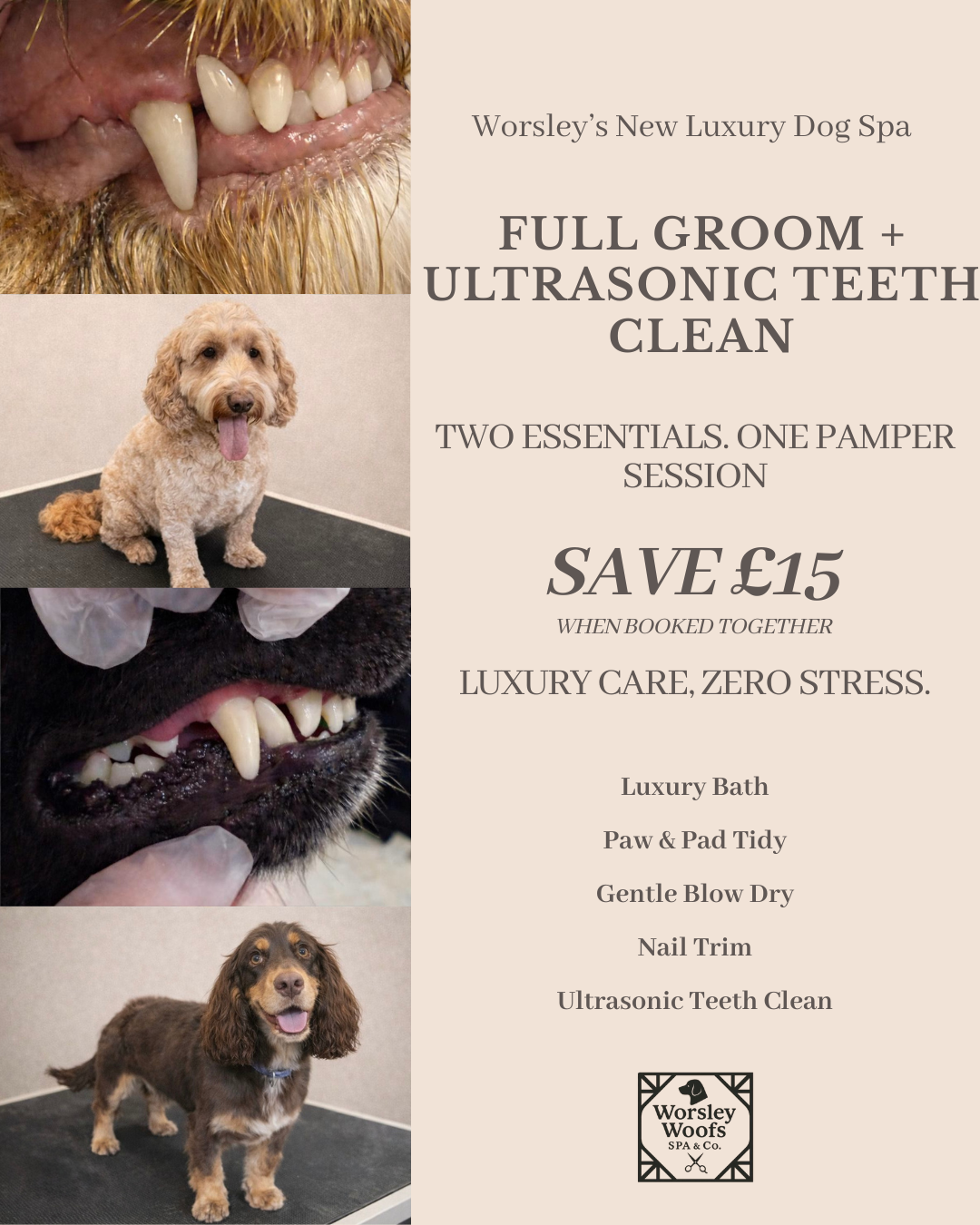 Worsley Woofs Spa & Co. Facebook ad: Free Valentine’s Bandana Included