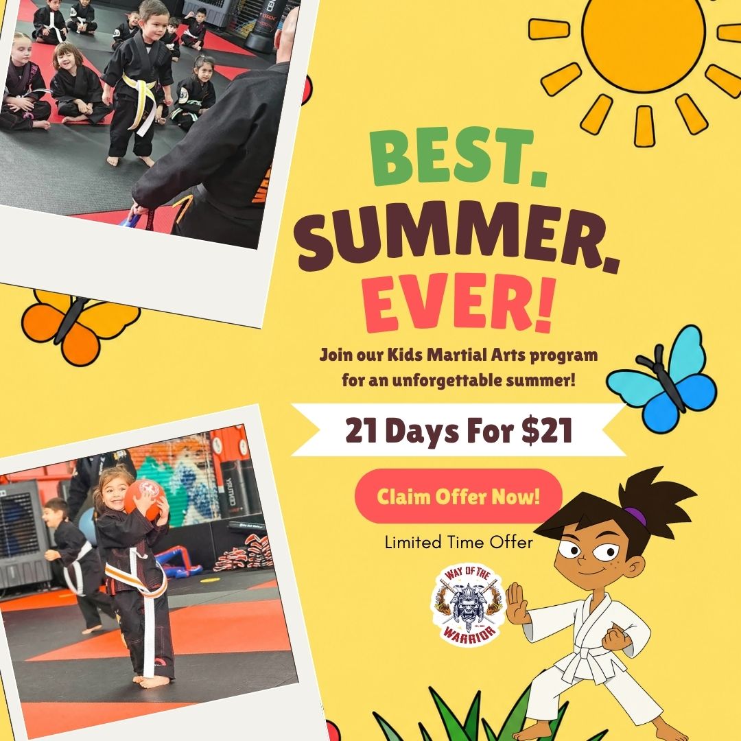 Way of the Warrior Martial Arts Facebook ad