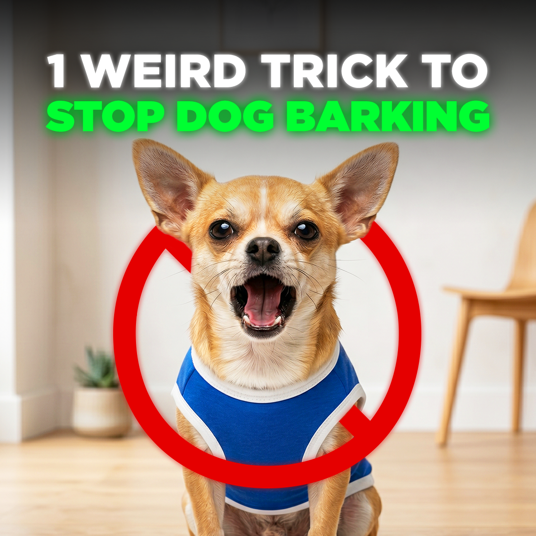 Mike James Dog Training Facebook ad