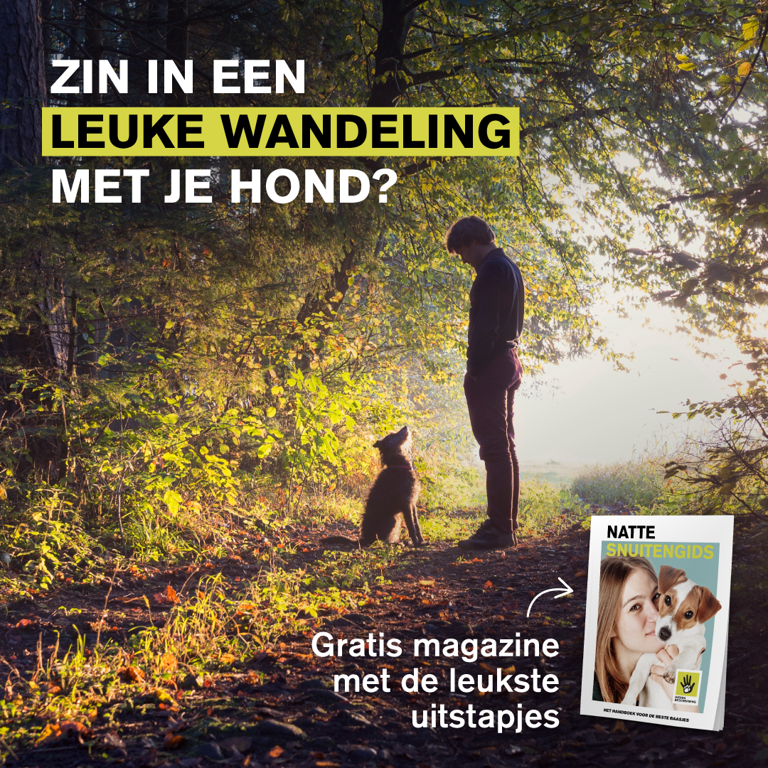 Dierenbescherming Facebook ad: Ontvang nu gratis jouw Natte Snuitengids
