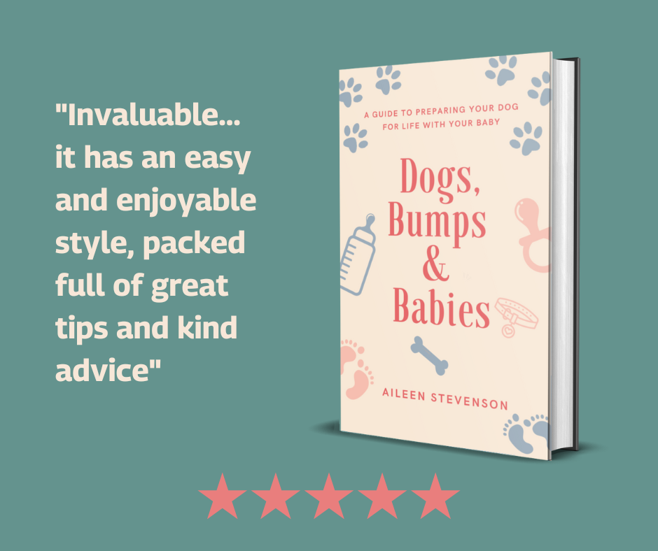The Perfect Puppy Company Facebook ad: Dogs, Bumps & Babies