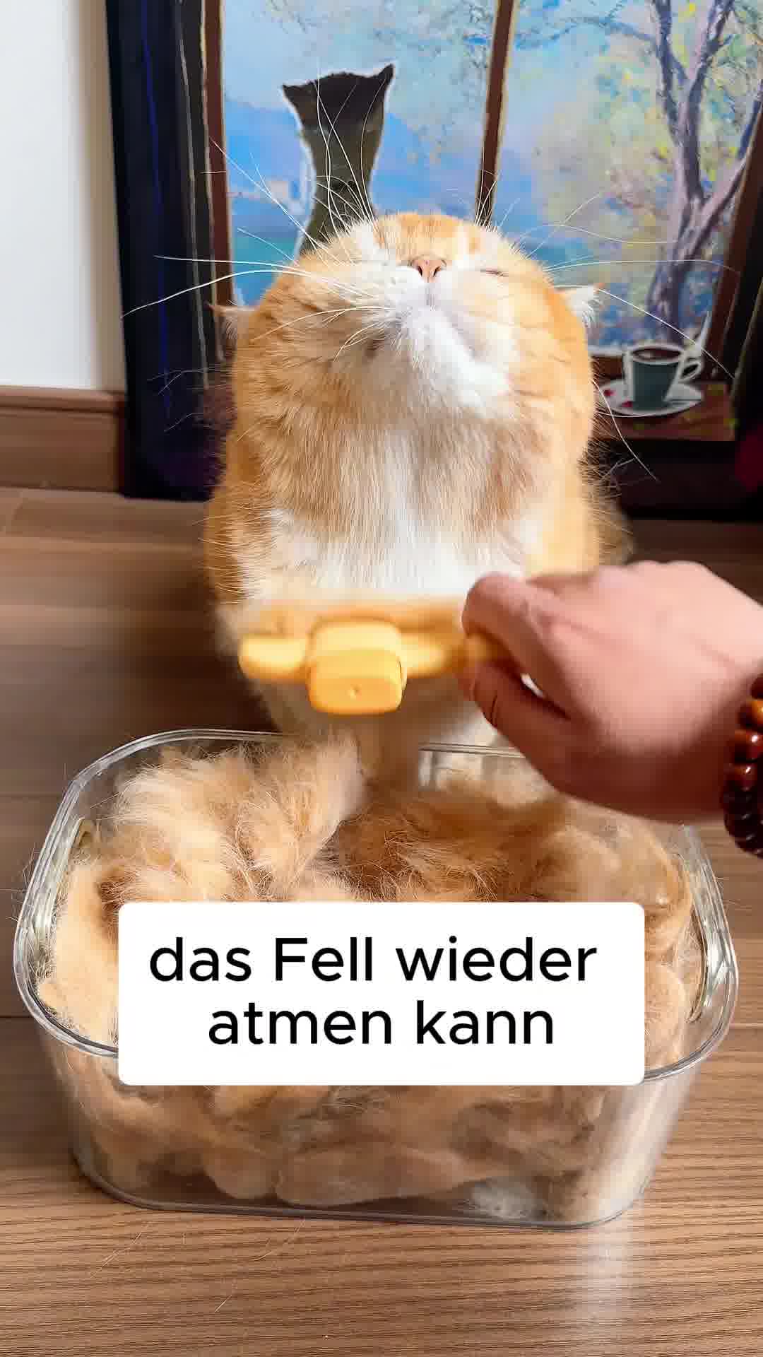 Pfotenmond.de Facebook ad: Für alle Felltypen geeignet
