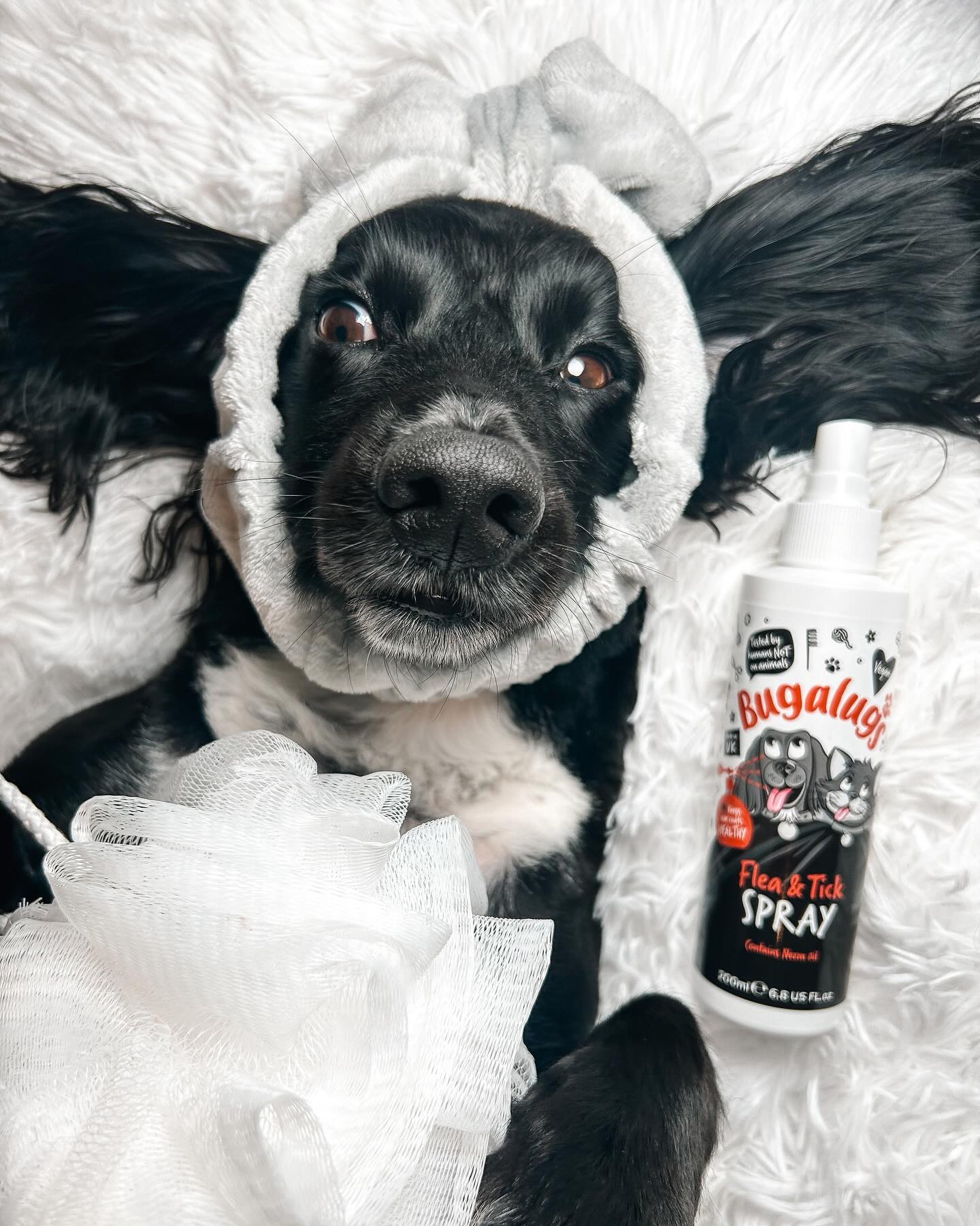 Bugalugs Pet Care Facebook ad
