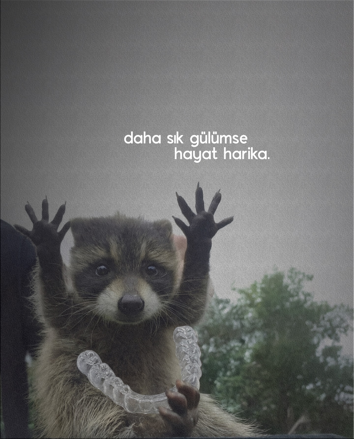 Ortodontist Dr. Yasin Akgül Facebook ad: Serimize devam