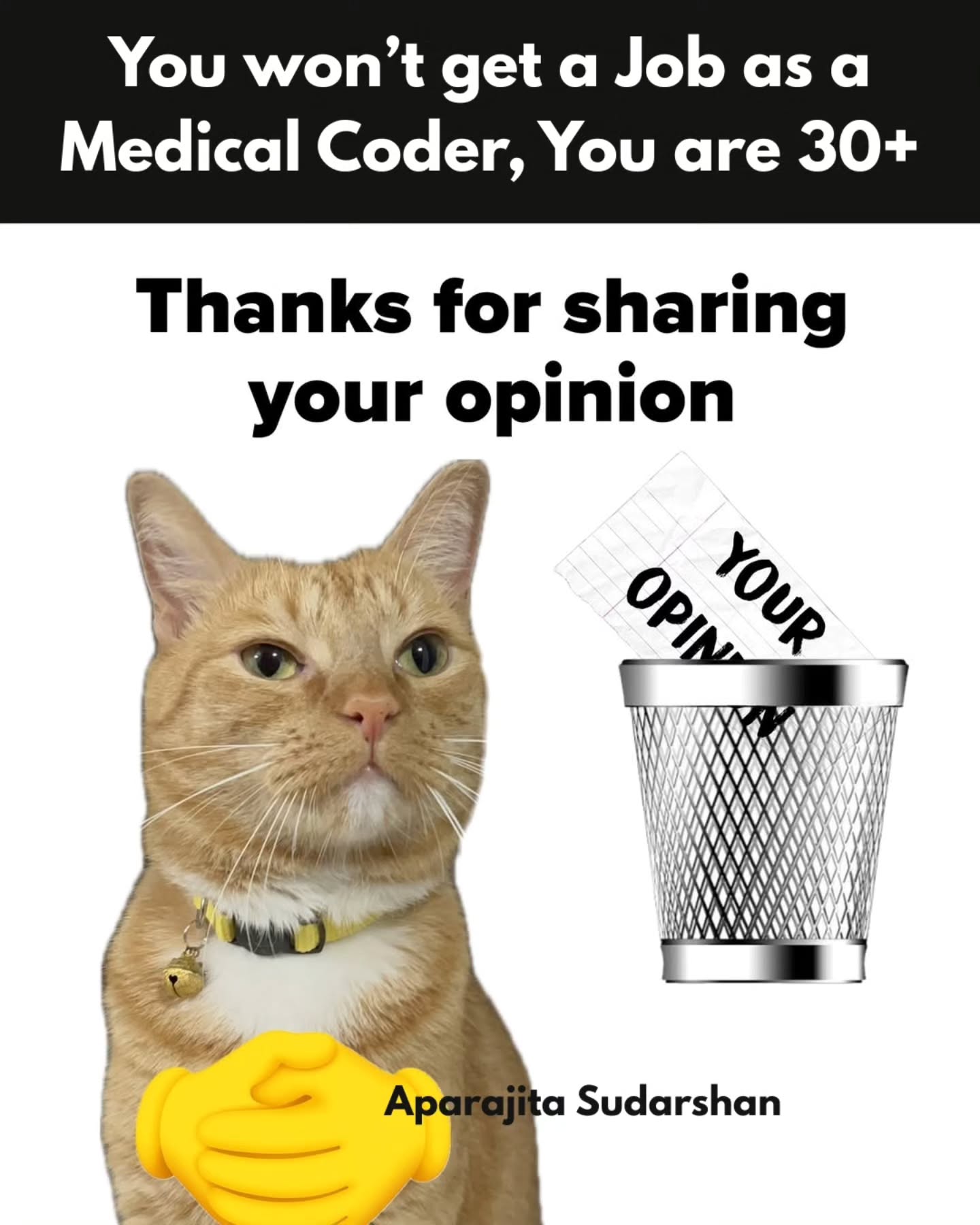 Theaudiolearning Facebook ad: You’re too old to learn medical coding.