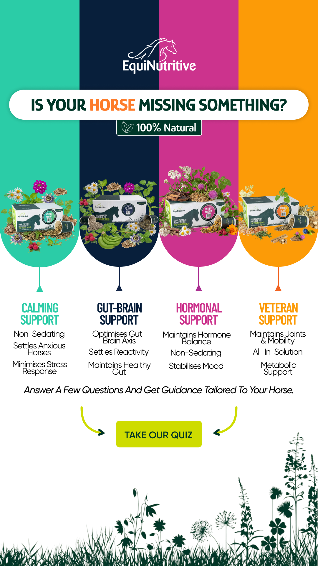 EquiNutritive Facebook ad