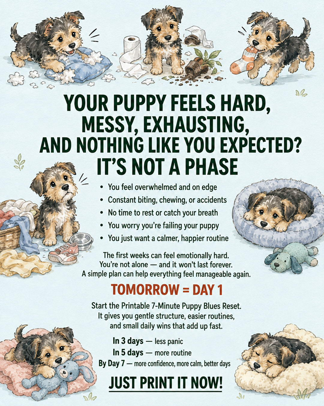 Ben Your Puppy Trainer Facebook ad