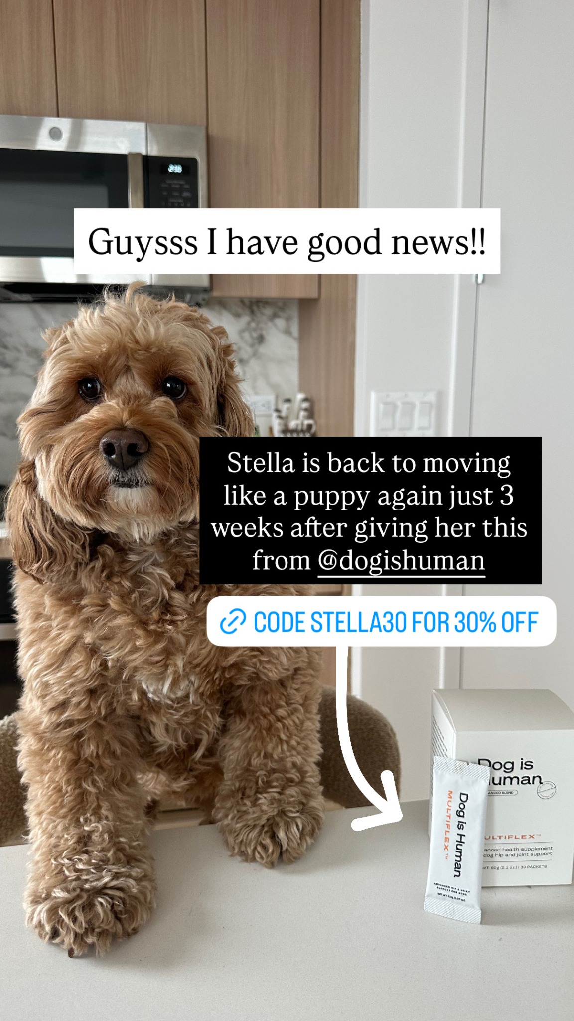 Dog is Human Facebook ad