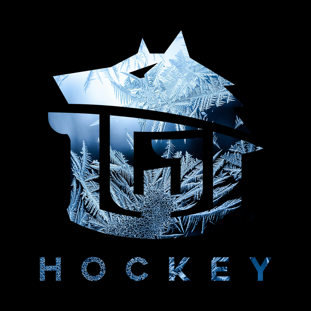 Game-Worn Hockey Tape Facebook ad: Forged From Legend Since 1999