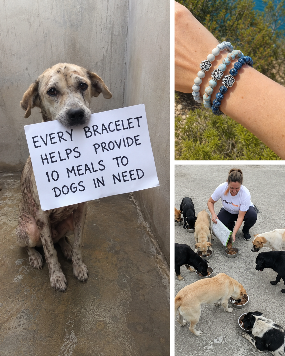 Rescue Paws Facebook ad