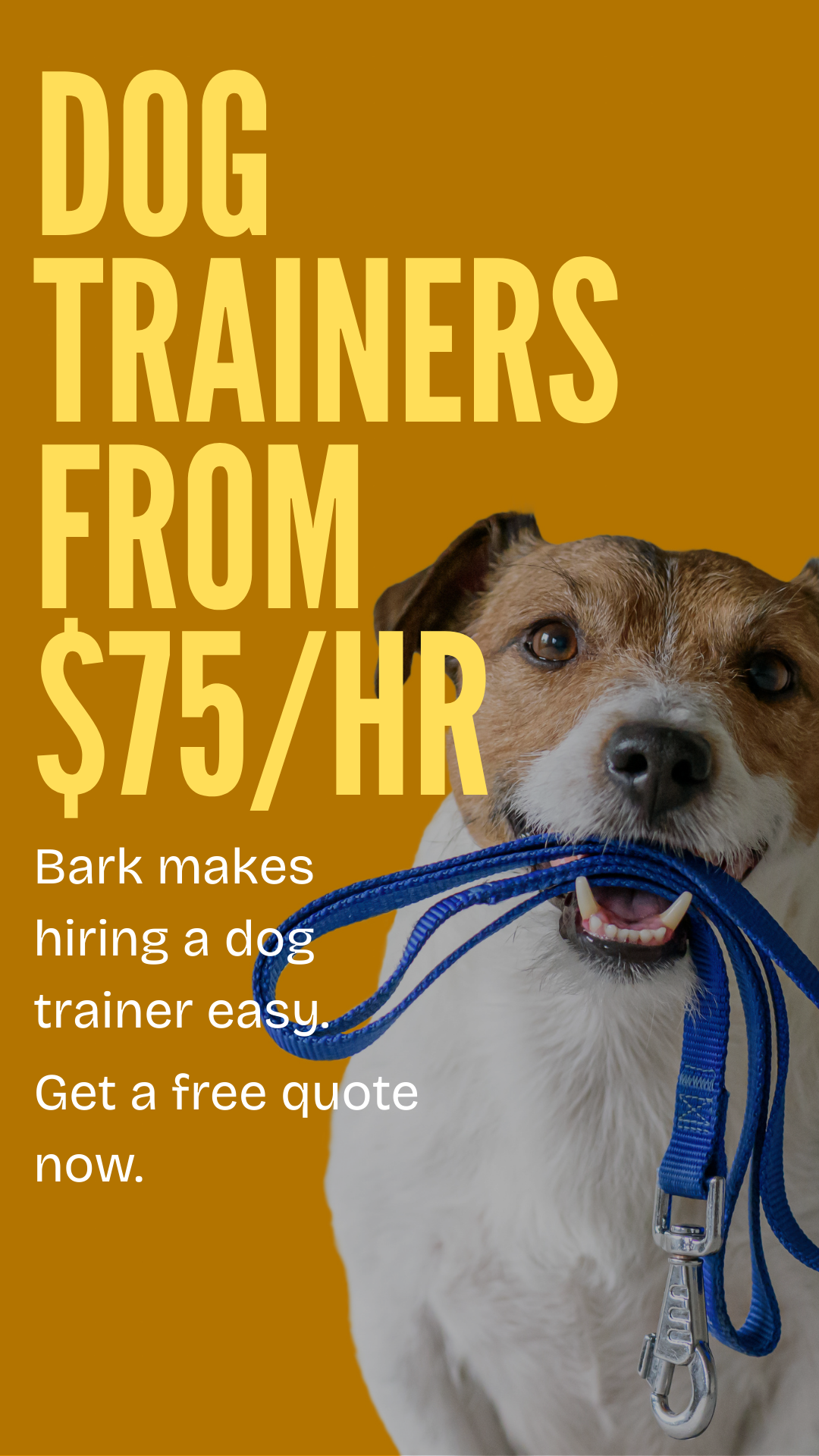 Bark.com Facebook ad