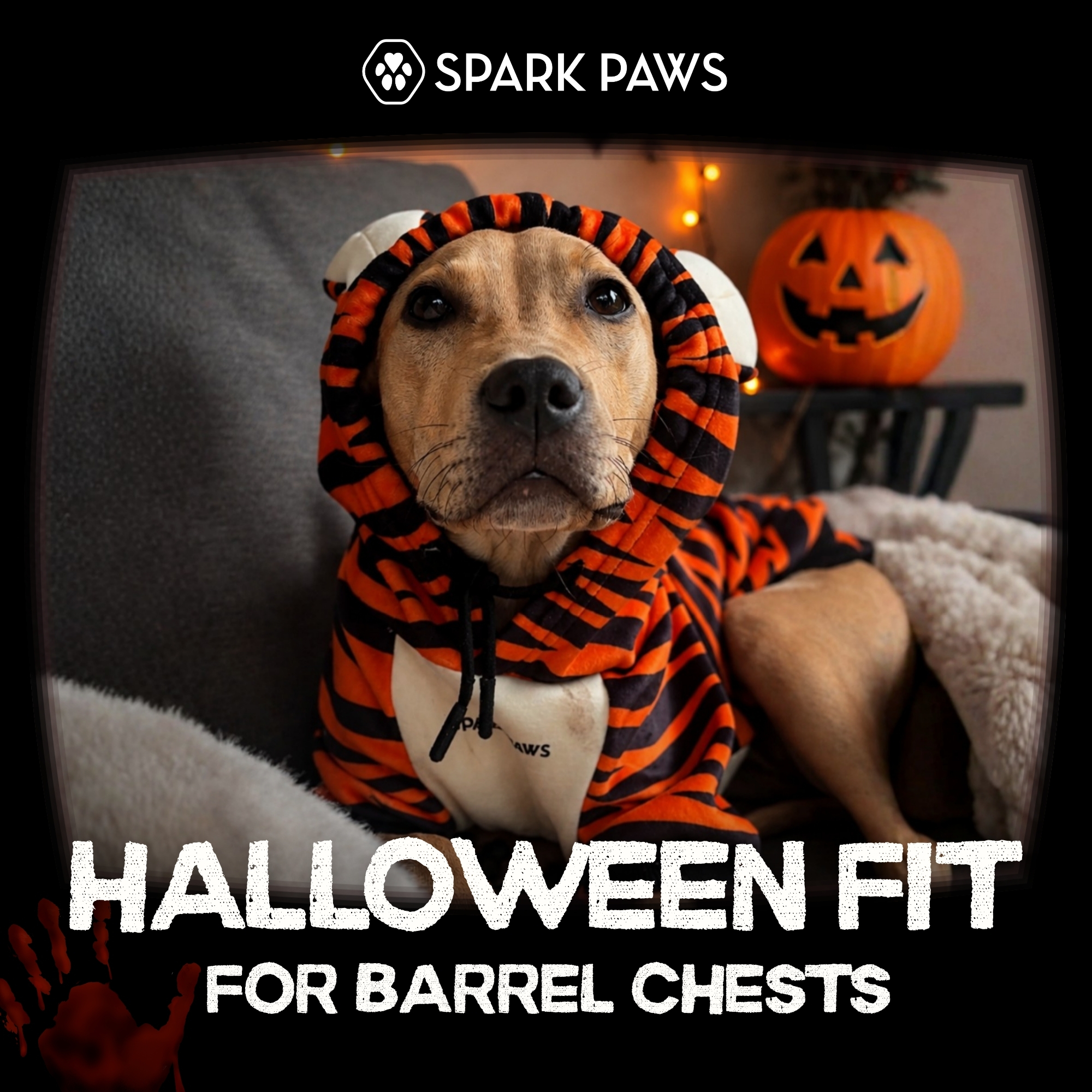 Spark Paws Facebook ad