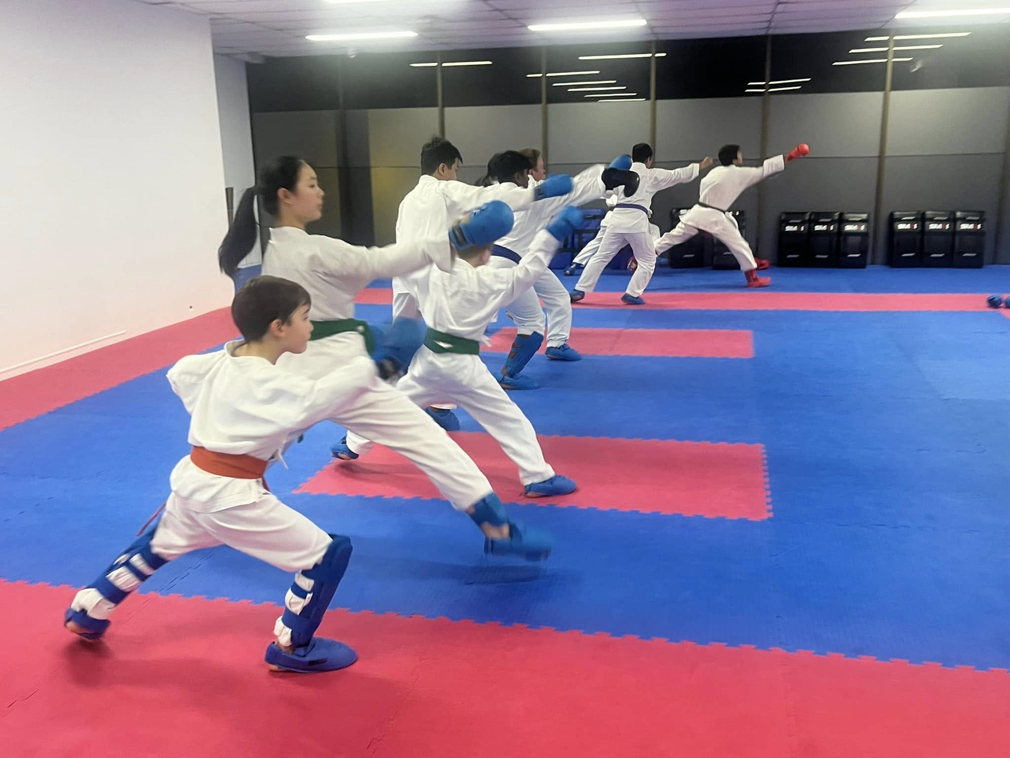 Australian Karate Academy, Sydney Facebook ad