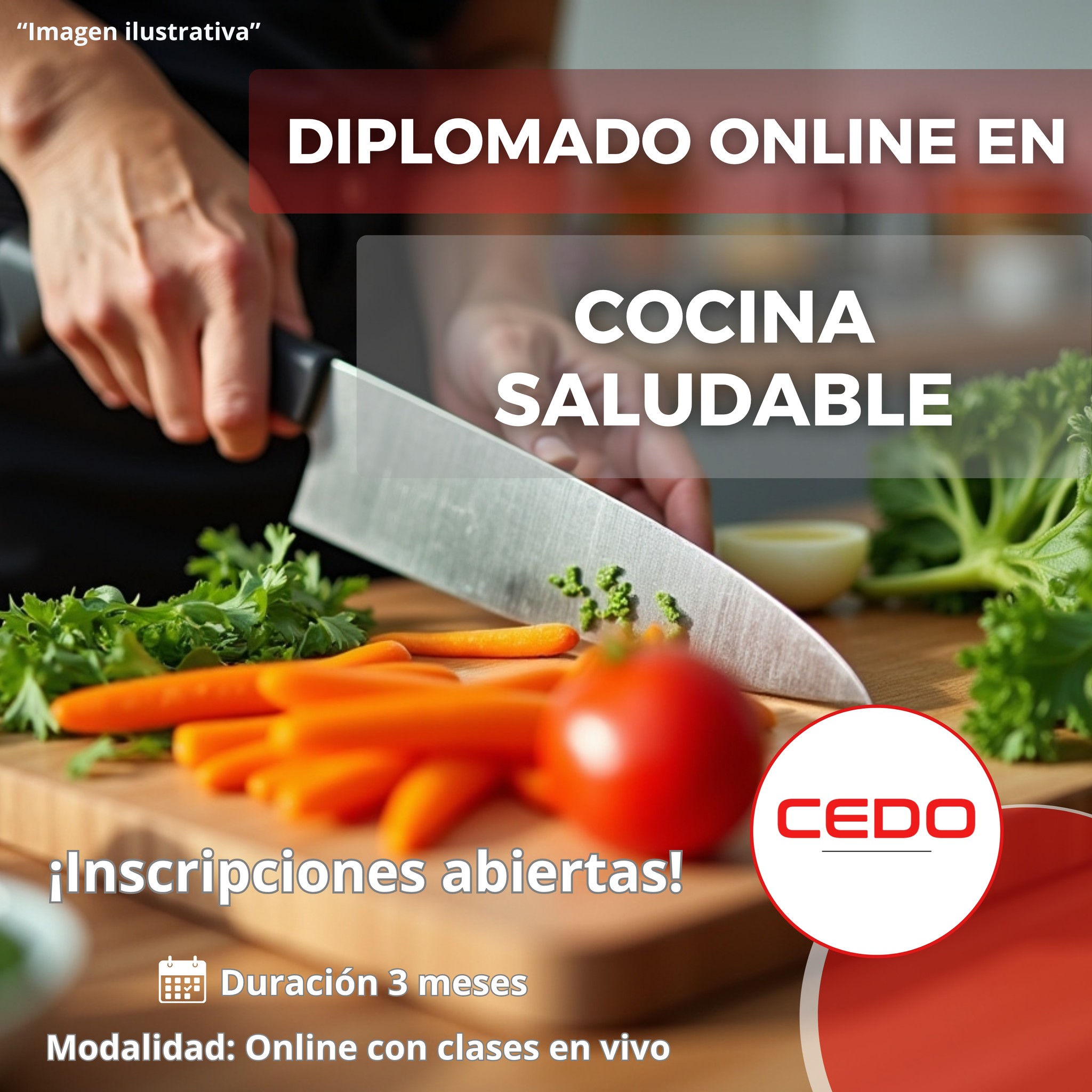 Centro Educativo Zacatlán Facebook ad: Diplomado Online en Cocina Saludable