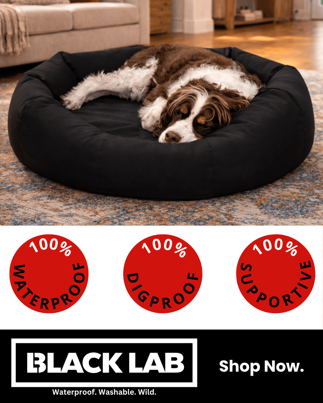 Black Lab Brands Facebook ad