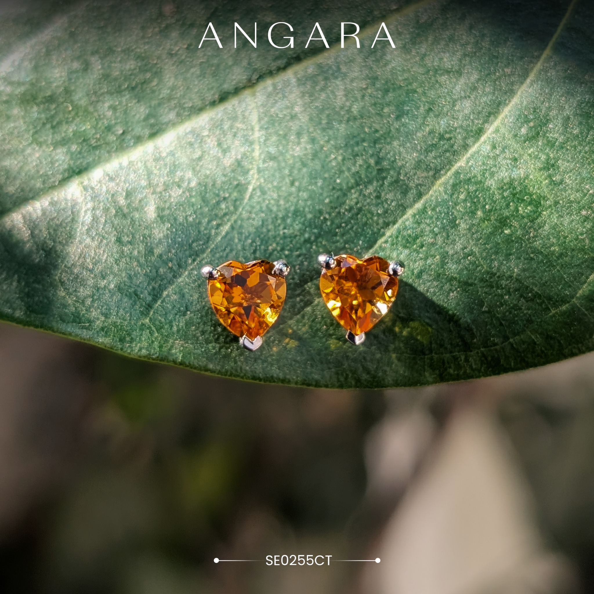 Angara.com Facebook ad