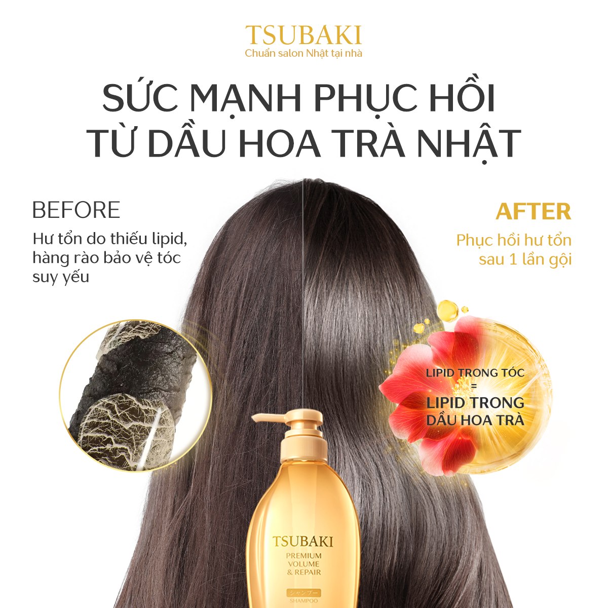 Tsubaki Vietnam Facebook ad: SỨC MẠNH PHỤC HỒI TỪ DẦU HOA TRÀ…