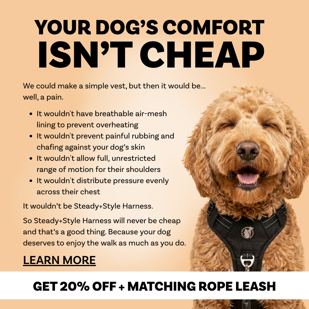 PawSafe Facebook ad