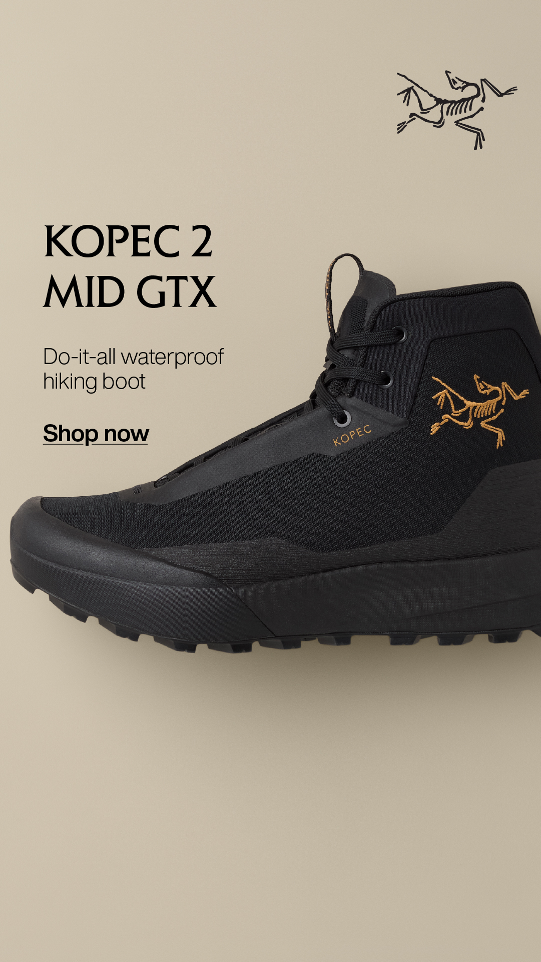 REI Facebook ad
