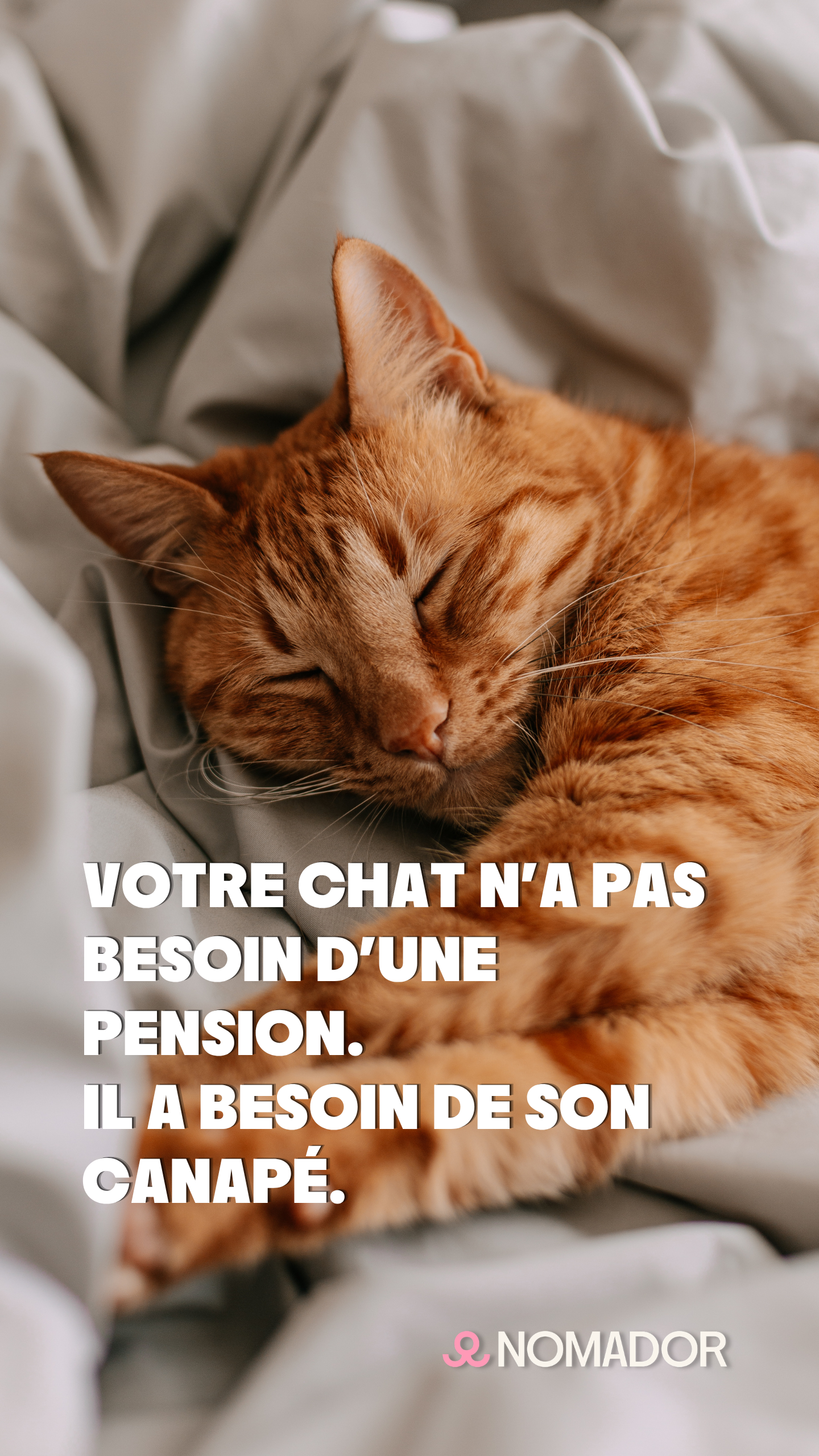 Nomador - A Community for House Sitting and Pet Sitting Facebook ad from Jun 9, 2026