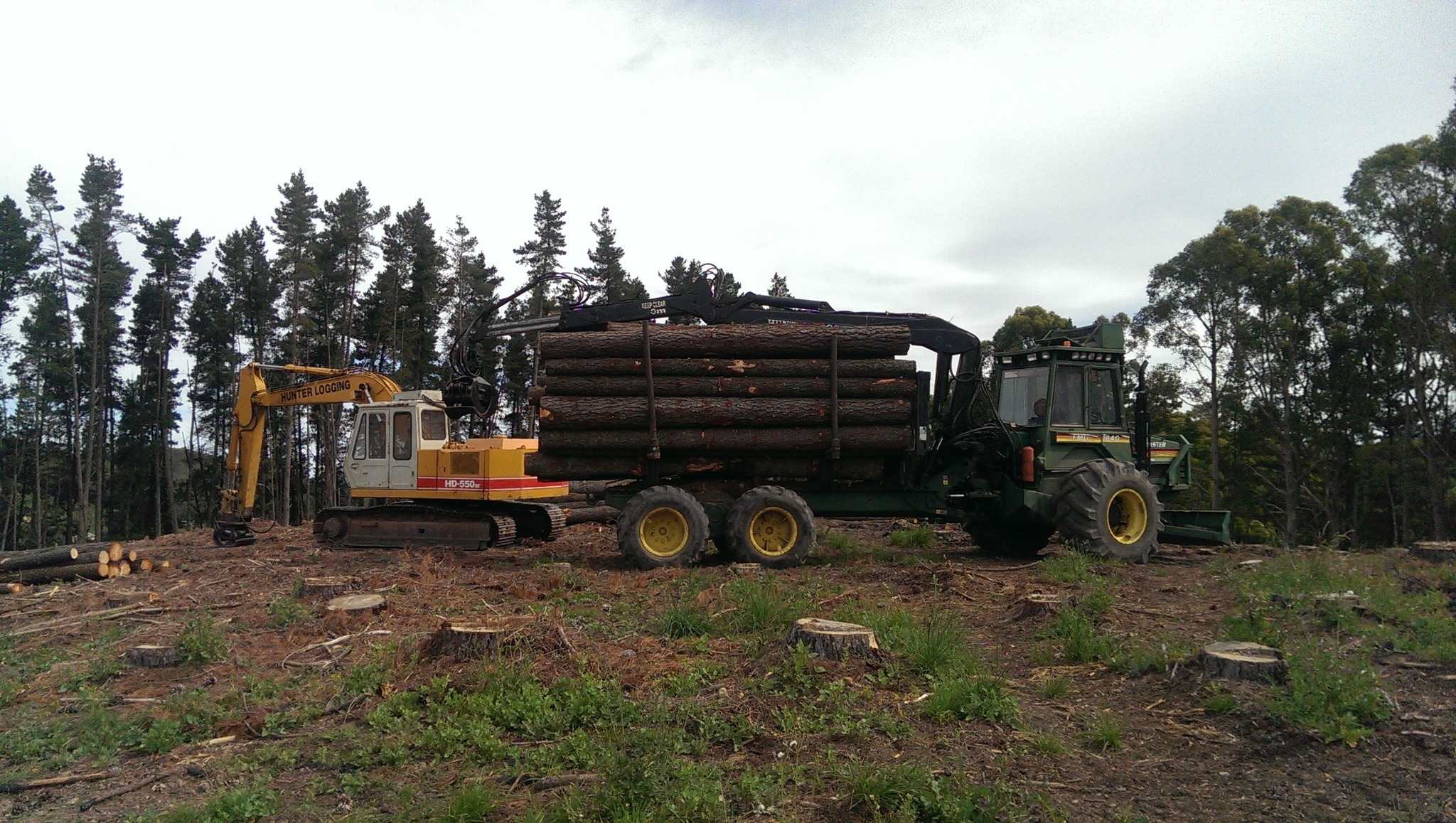 Hunter Logging Facebook ad: PineTree removal with the intent of salvaging logs…