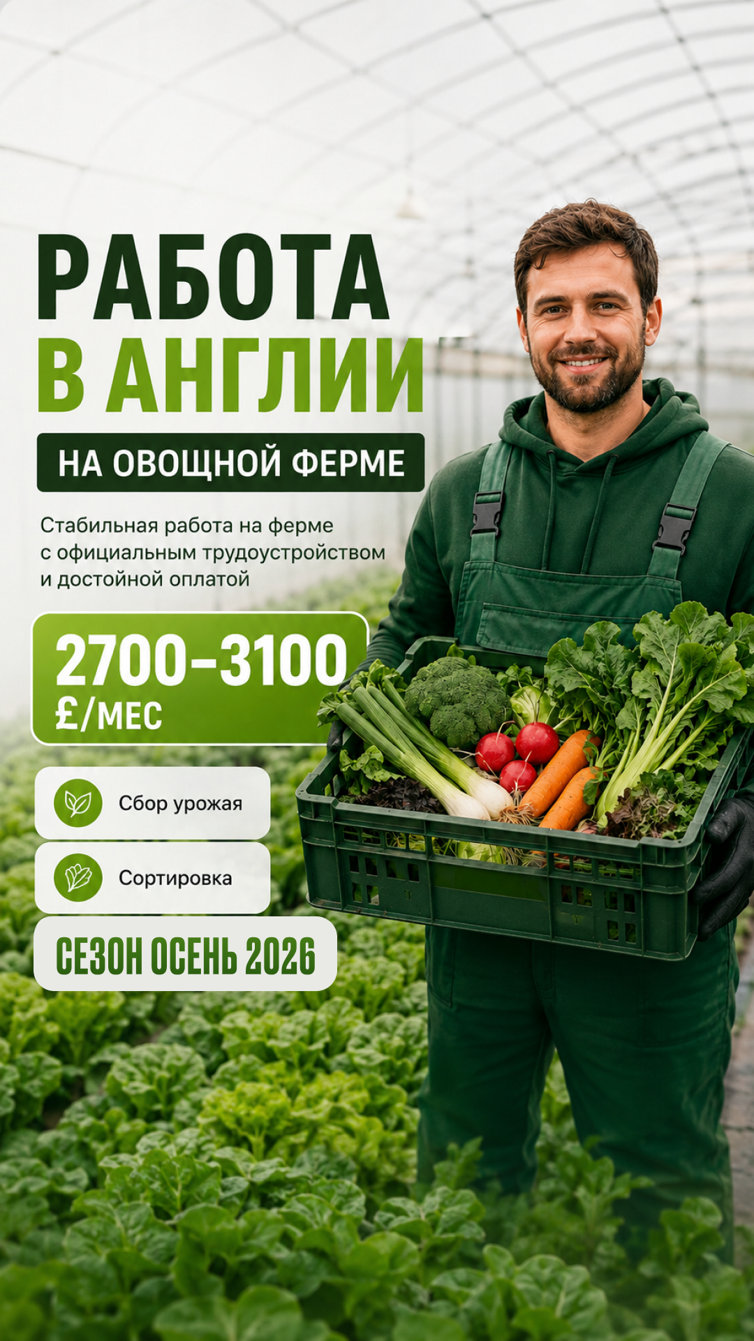 Job Bridge Company Facebook ad: Работа в Великобритании, Элегантно и официально