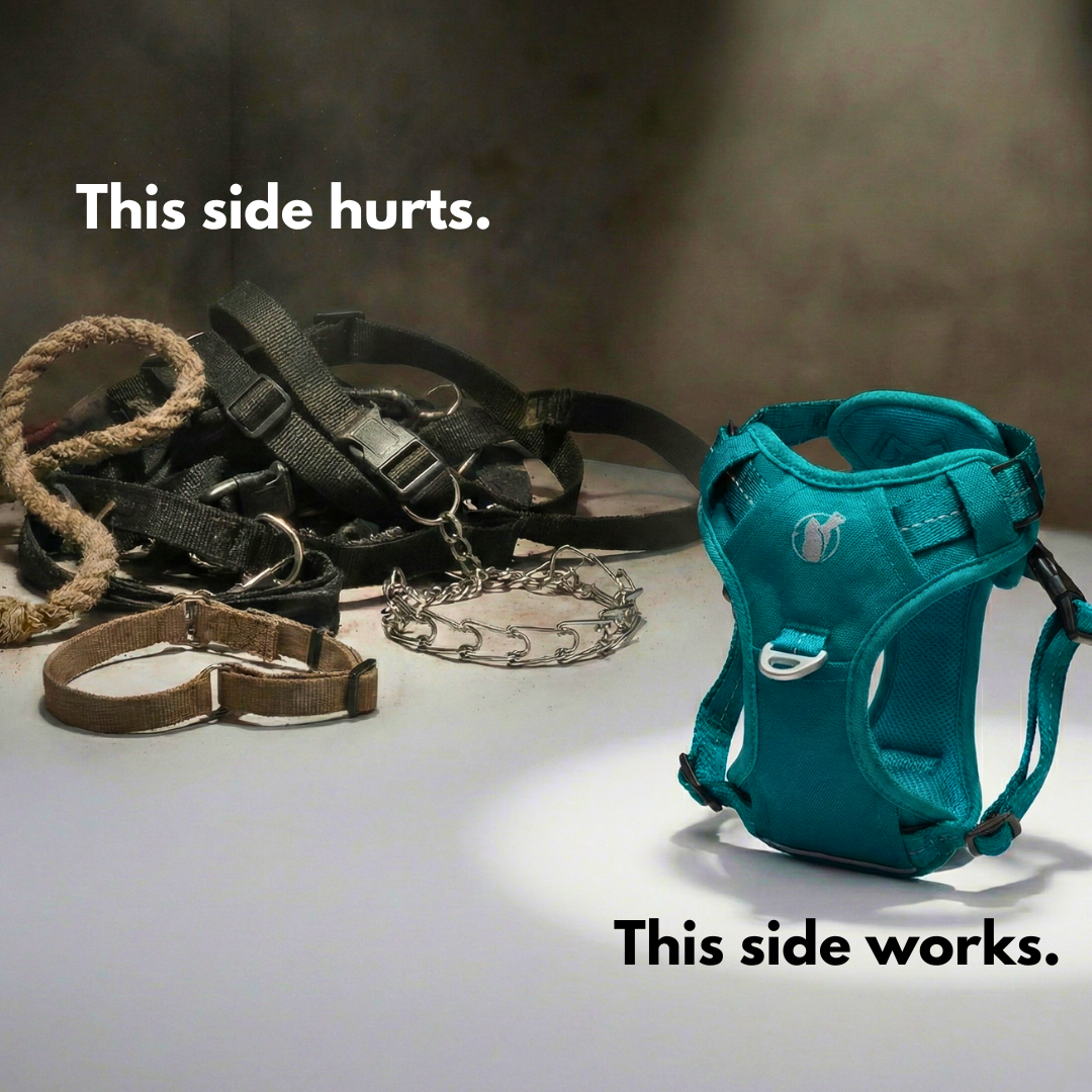 PawSafe Facebook ad